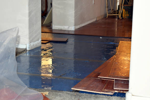 Professional Basement Flood Cleanup technician working in Welch, MN